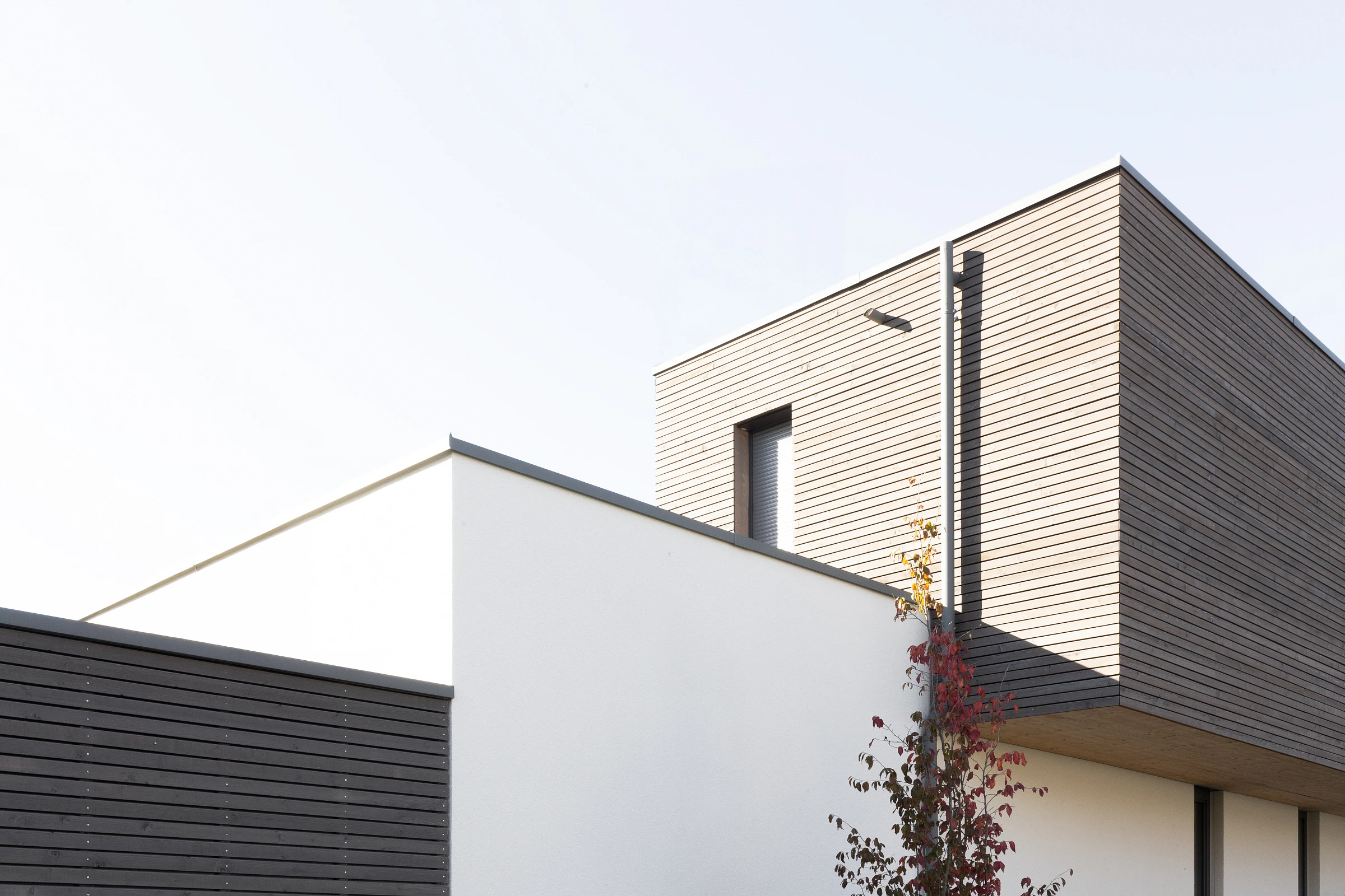 Außenansicht eines Einfamilienhauses Hybridbauweise mit Holzfassade