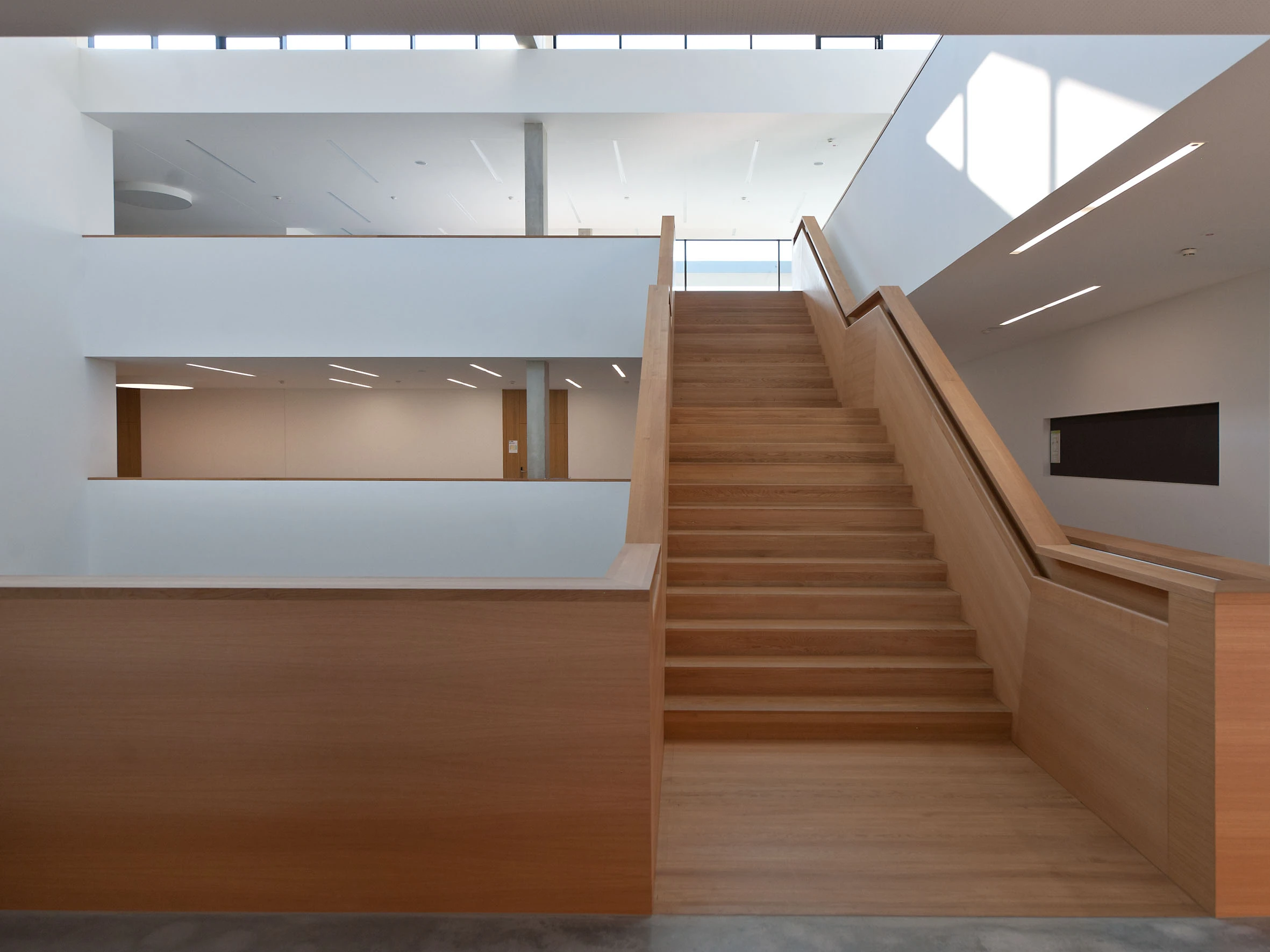 Offene Treppenanlage in einem Hörsaalgebäude