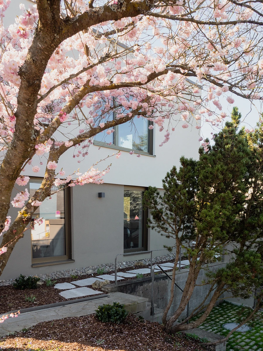 Außenansicht eines sanierten Einfamilienhauses mit Putzfassade