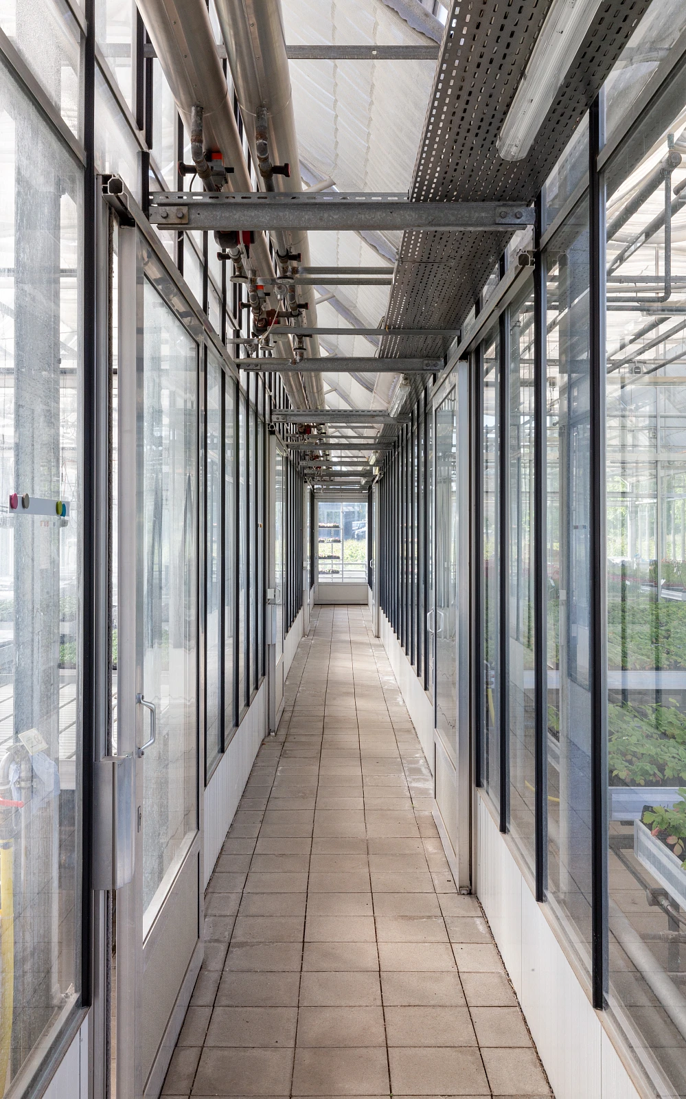 Innenansicht eines landwirtschaftlichen Gewächshauses als Anbau eines bestehenden Hofes