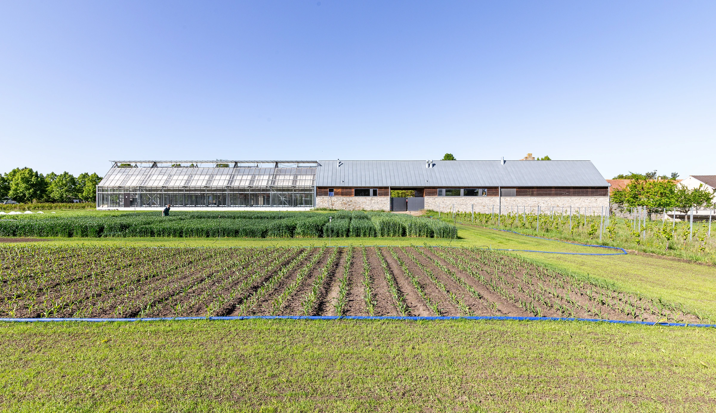Außenansicht eines landwirtschaftlichen Gewächshauses als Anbau eines bestehenden Hofes