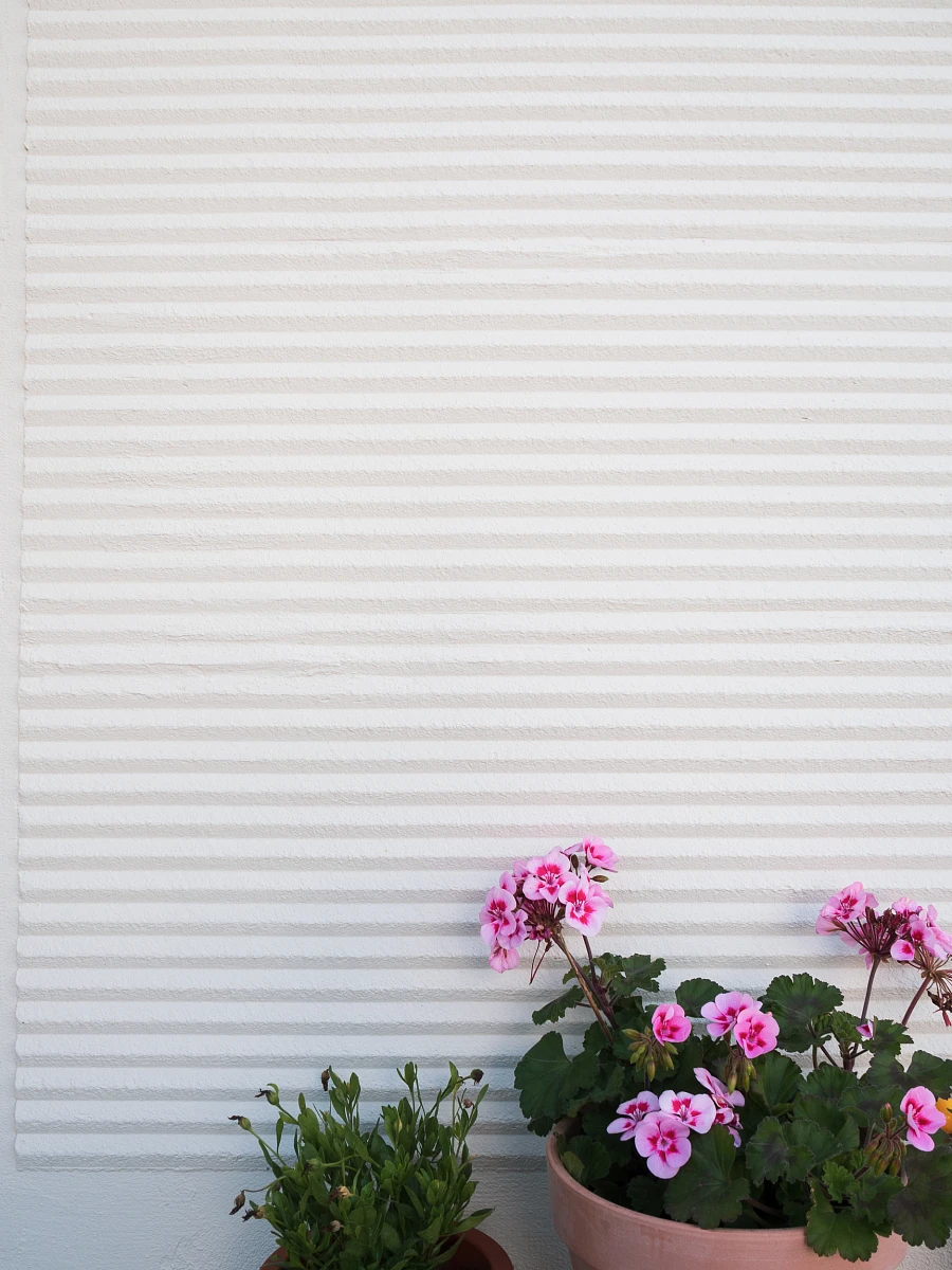 Kammputzfassade weiß, an einem Einfamilienwohnhaus