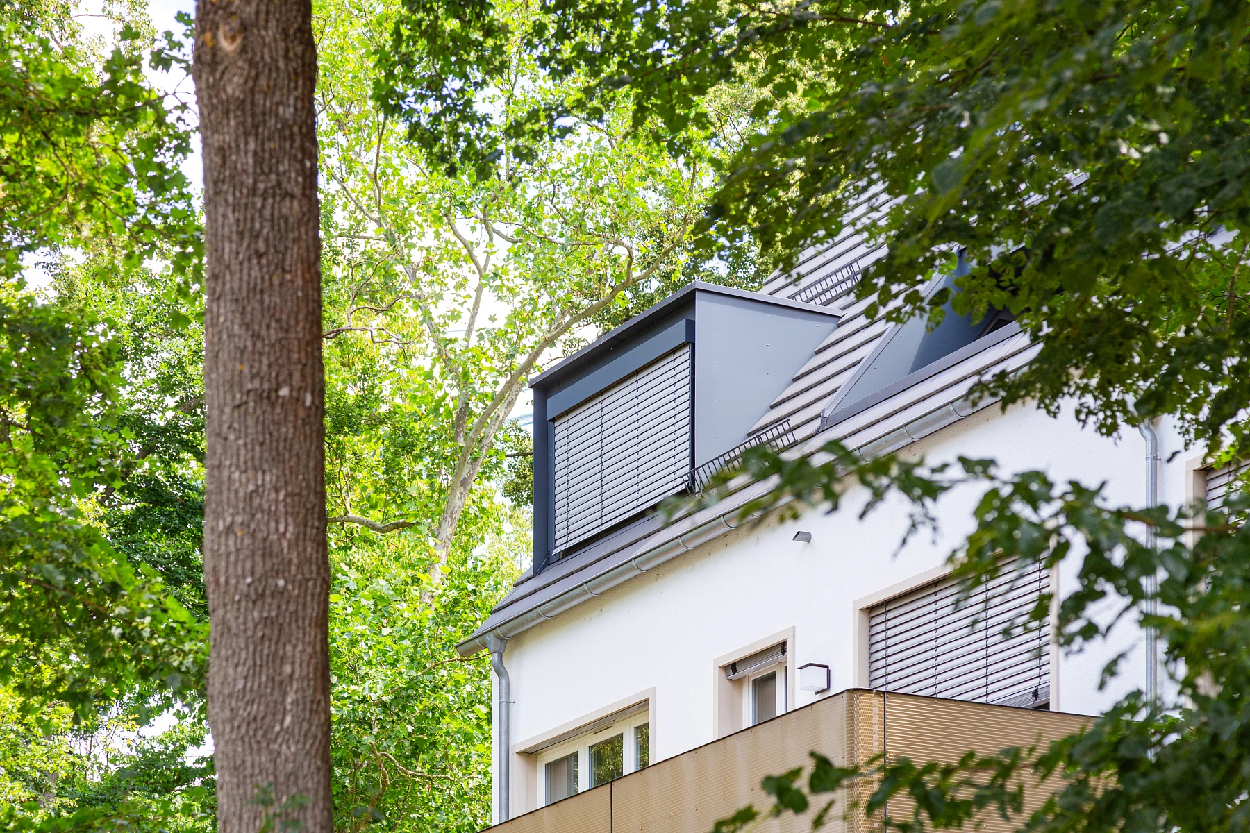 Dachgaube, in moderner schlichter Ausführng